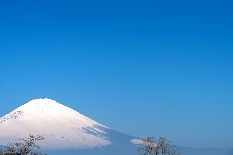 順光で輝く富士山
