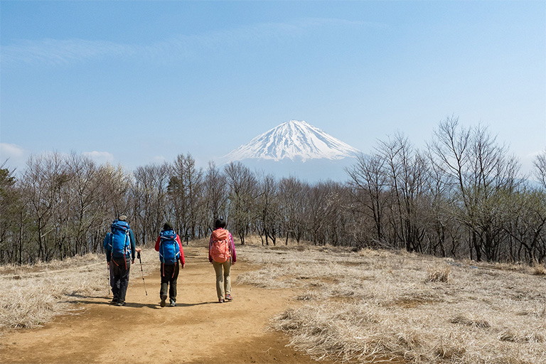 Mt.FUJI ACTIVITIES