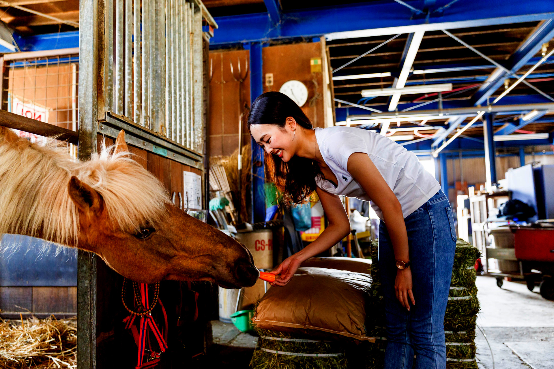 Gotemba culture farm